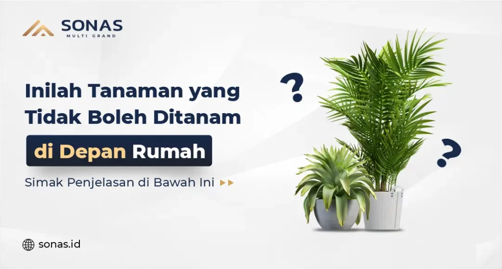 Inilah Tanaman yang Tidak Boleh Ditanam di Depan Rumah